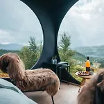 Birdbox