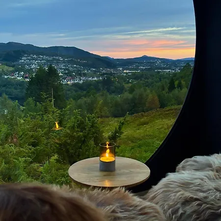 Birdbox * Bergen