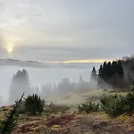 Birdbox Bergen