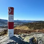 Birdbox Bergen