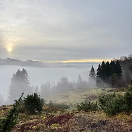 Birdbox Bergen