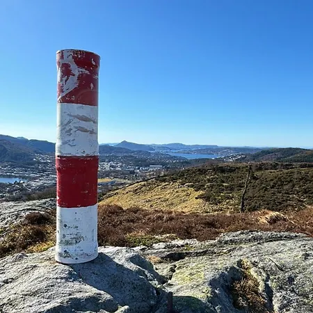 Birdbox Bergen