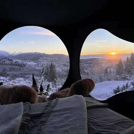 Birdbox * ベルゲン