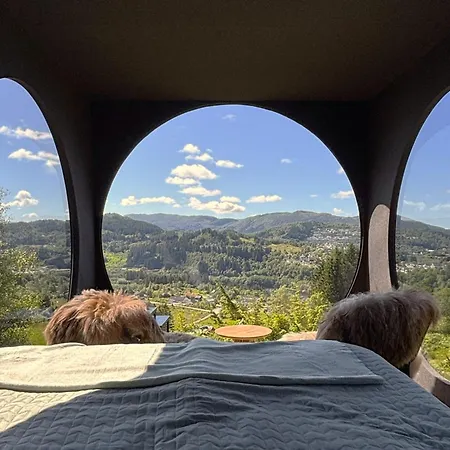 Birdbox Берген