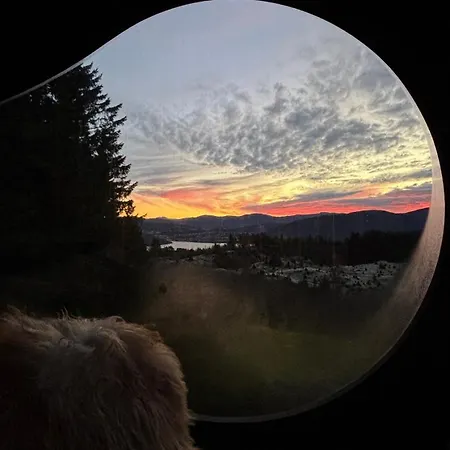 Birdbox Feriehus Bergen